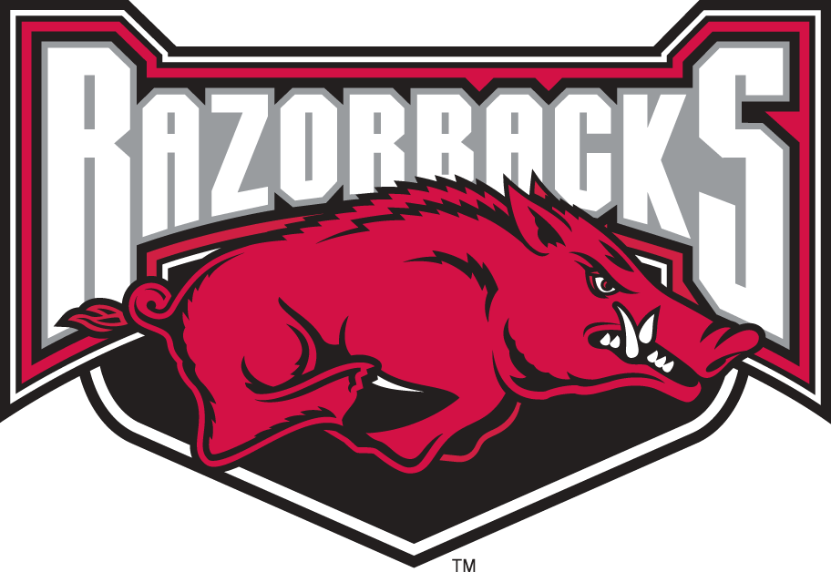 Arkansas Razorbacks 2001-2008 Alternate Logo v2 iron on transfers for clothing